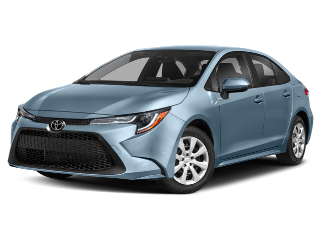 Economy Car Rental